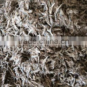 Salted Anchovy Head off thumbnail-5