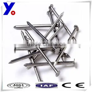 Polished Common Nail Factory Nail thumbnail-1