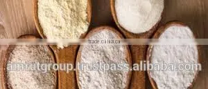 Pregelatinized Starch thumbnail-2