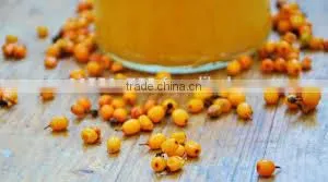 Seabuckthorn Oil thumbnail-4