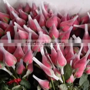 Flower Bouquets Sleeves thumbnail-4