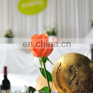 Party Bridal Backdrop Wedding Chuppah thumbnail-1
