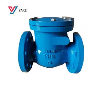 Cast Iron CLASS 150 LB Flange Swing Check Valve thumbnail-5
