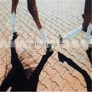 Horse Road Rubber Paver thumbnail-1