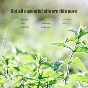 Natural Peppermint Oil Massage Essential Oil New Fresh Mosquito Repellent Refreshing Analgesic Skin Care thumbnail-4
