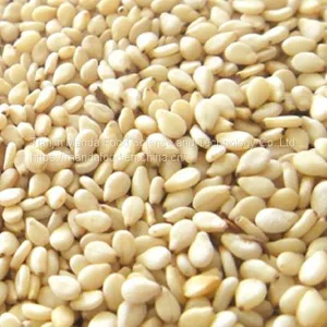 White Sesame thumbnail-1