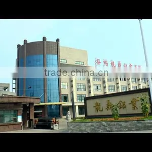 Luoyang Longding Aluminium Co., Ltd. company overview - view 1 thumbnail