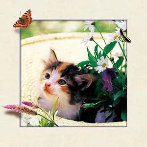 5D Picture of Flowers Plastic Decoration 3d Lenticular Flowers Picture thumbnail-4