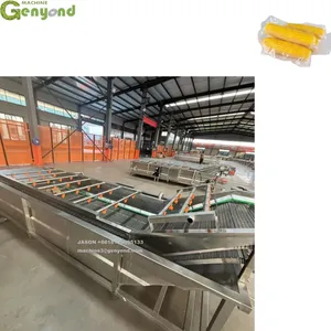 Factory Price OEM Customized Corn Washing Blanching Processing Production Line thumbnail-6