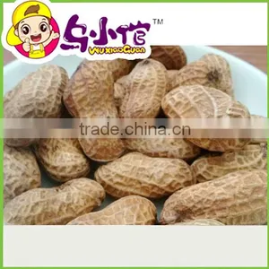 Roasted Peanuts With Shell thumbnail-1