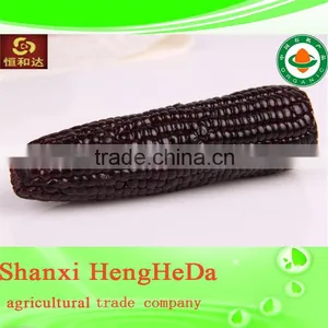 Com for Sale Indian Yellow Maize Corn thumbnail-6