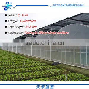 Plastic Film Greenhouse Large for Flowers Vegetables thumbnail-4