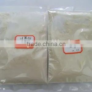 Onion Powder thumbnail-1