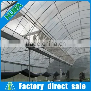 Multi-span Plastic Film Greenhouse and Forever Flowering Auto Blackout Greenhouse thumbnail-5