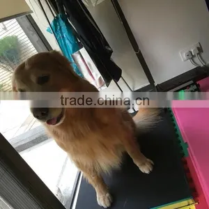 150kg Digital Pet Scale thumbnail-2