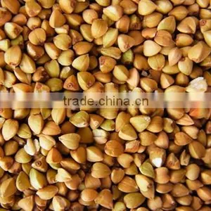 Chinese Non Gmo New Crop Roasted Buckwheat Kernel for Georgia Wholesale thumbnail-1