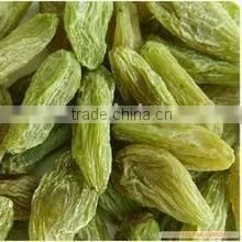 Bulk Raisins no Sugar Added thumbnail-2
