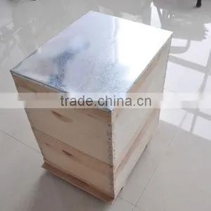 Apis Cerana Beehive thumbnail-4