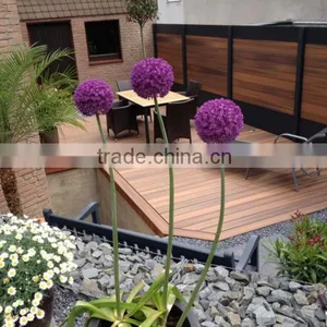 Professional Manufacturer of WPC Decking thumbnail-1