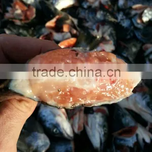 Salmon Tails thumbnail-5
