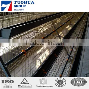 Broiler Chicken Cage,poultry Farm Layer Cage thumbnail-2