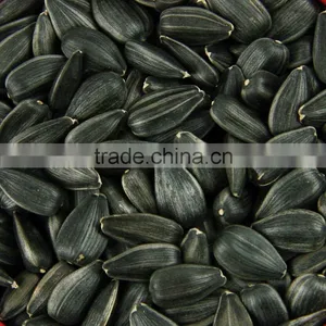 Chinese Oil Sunflower Seeds thumbnail-1
