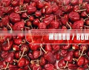 Bell Red Chilles thumbnail-6