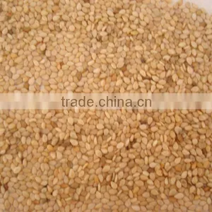 Sesame Seed Super Premium High Quality thumbnail-1