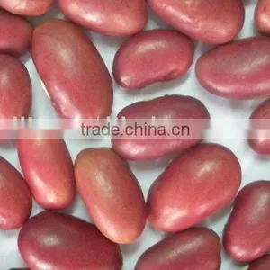 Small Red Beans thumbnail-1