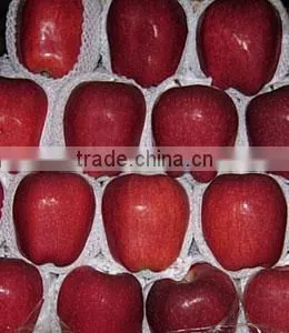 Hua Niu Apple thumbnail-1