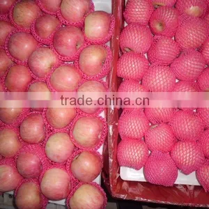 Fresh Apple of --hot Seller thumbnail-1