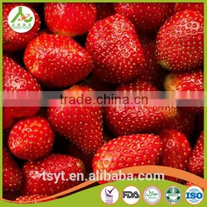 Frozen Strawberries America M13 25-35mm Freezing Strawberry thumbnail-2