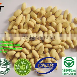 Peanut Kernel thumbnail-2