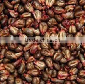 Seasoned Processing Wild Source Grape Seed Oil thumbnail-1