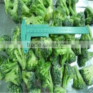 IQF Broccoli Brocoli Frozen Foods China Exporter thumbnail-1