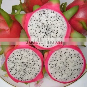Frozen White or Red Dragon Fruit thumbnail-2