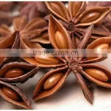 Anise Oil thumbnail-4