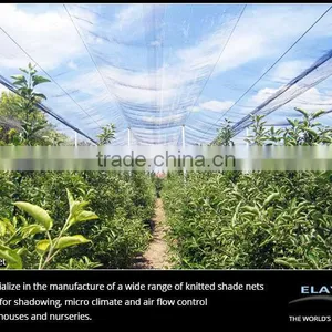 Shade Net thumbnail-4