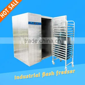 Commercial Ice Cream Blast Freezer,tray Type Flash Freezer thumbnail-1