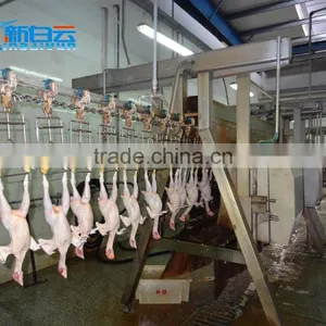 Chicken Slaughtering Machine Product Line thumbnail-1