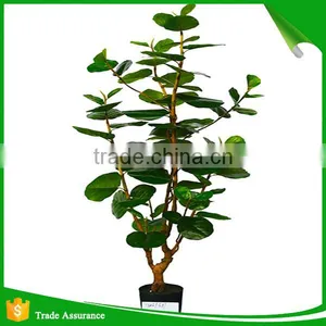 Artificial Green Ornamental Plant Indoor and Outdoor thumbnail-2