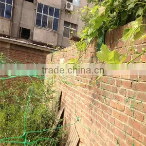 PE Flower Net, Garden Plastic Net, Plant Support Net thumbnail-1