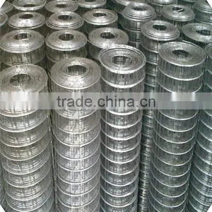 Galvanized Welded Wire Mesh / Weled Wire Mesh Factory thumbnail-4