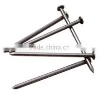 Polished Common Nail thumbnail-1