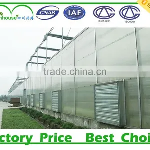 China Agricultural Greenhouse thumbnail-5