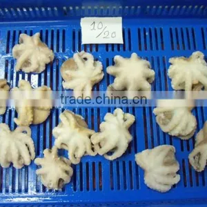 Frozen Octopus Whole Cleaned thumbnail-2
