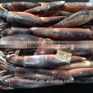 Frozen Whole Round Squid ILLEX ARGENTINUS 2016 NEW PRODUCTION thumbnail-3