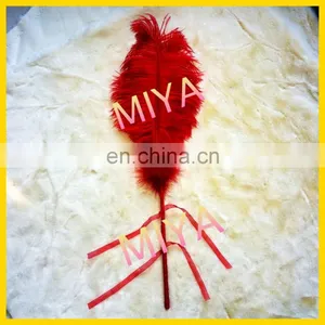 Feather Sex Tickler for Adult Game thumbnail-1