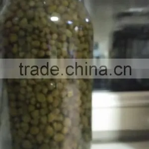 Capers thumbnail-3