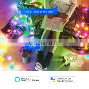Tuya Intelligent Smart Wifi Globe String Light Factory thumbnail-6